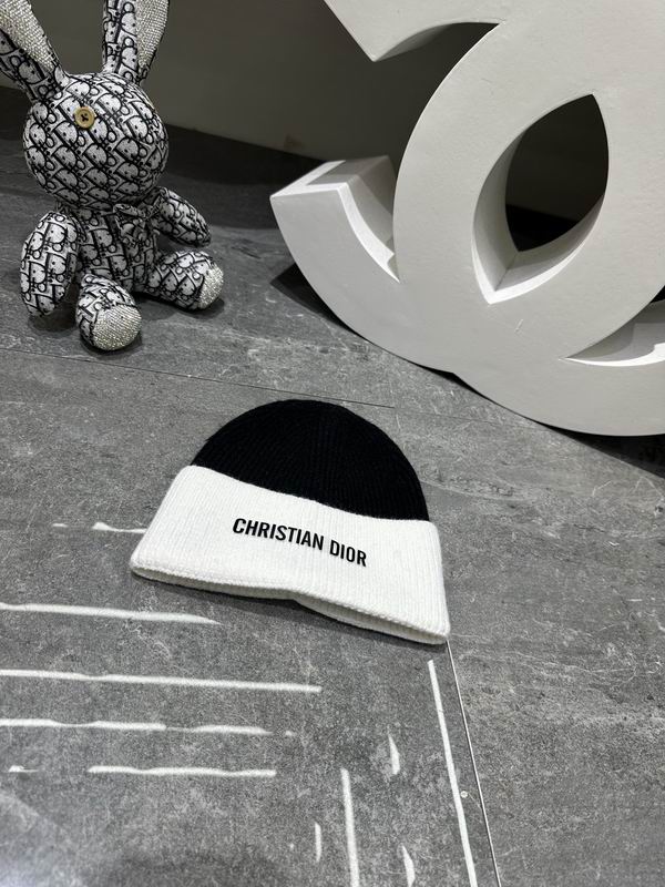 Dior Beanie ID:20260111-53